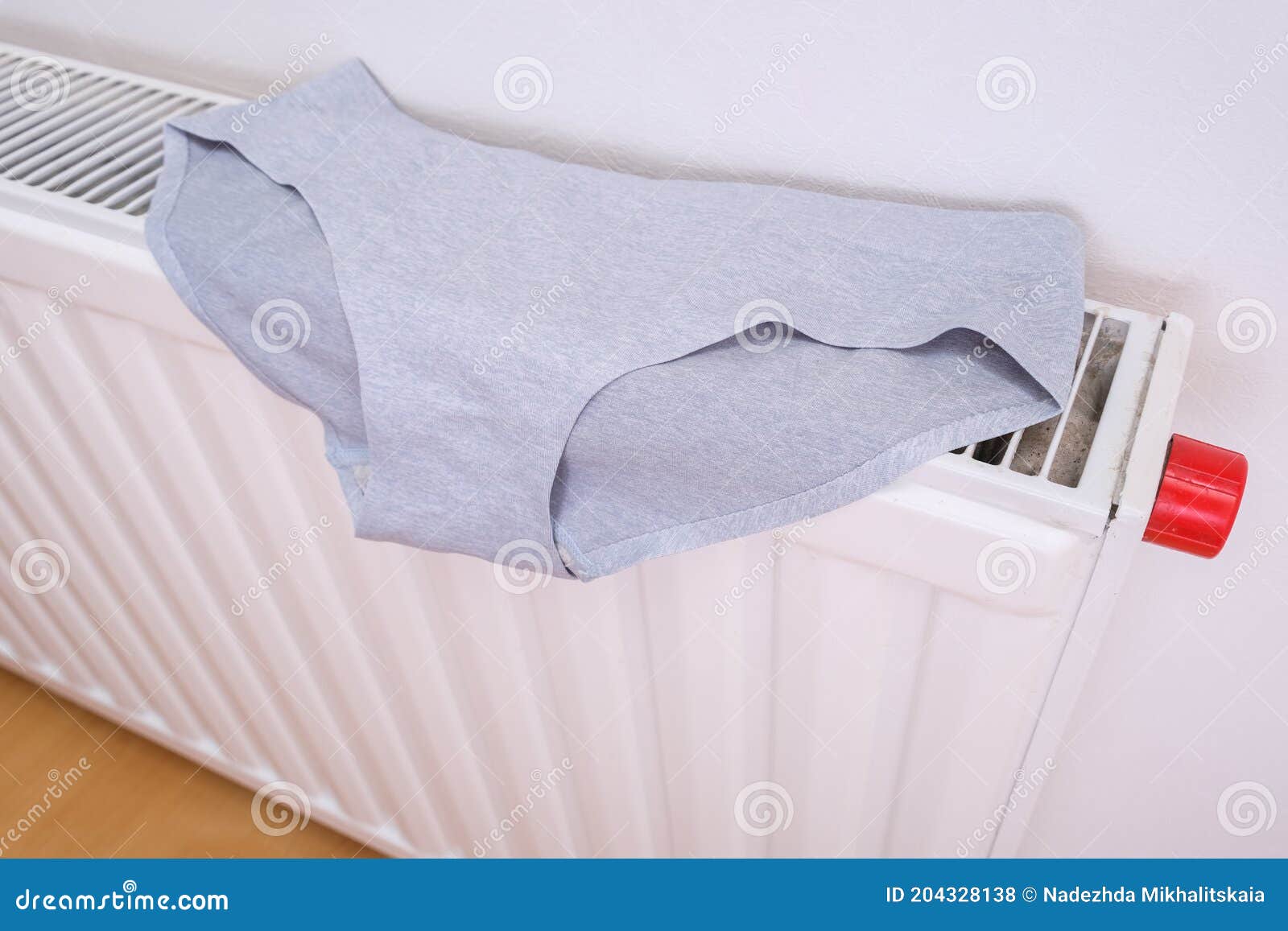 Drying Wet Underpants on Radiator of Central Heating, Casual Ladies  Underwear Hanging on a Heater, Laundry and Washing Stock Photo - Image of  casual, multicolored: 204328138
