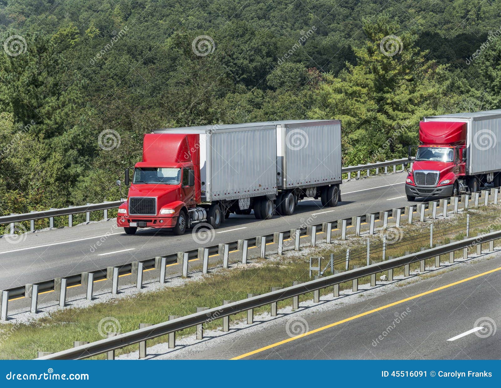 Horyzontalny strzał udziały drzewa otacza autostradę z ciężarówkami