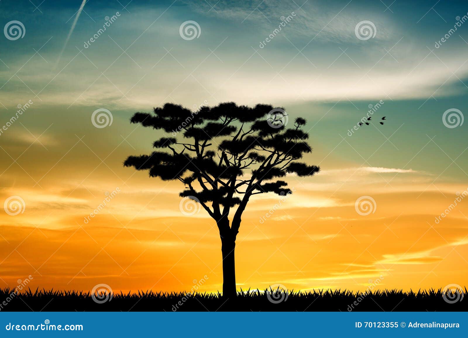 Drzewo życie przy zmierzchem. Ilustracja drzewo przy zmierzchem