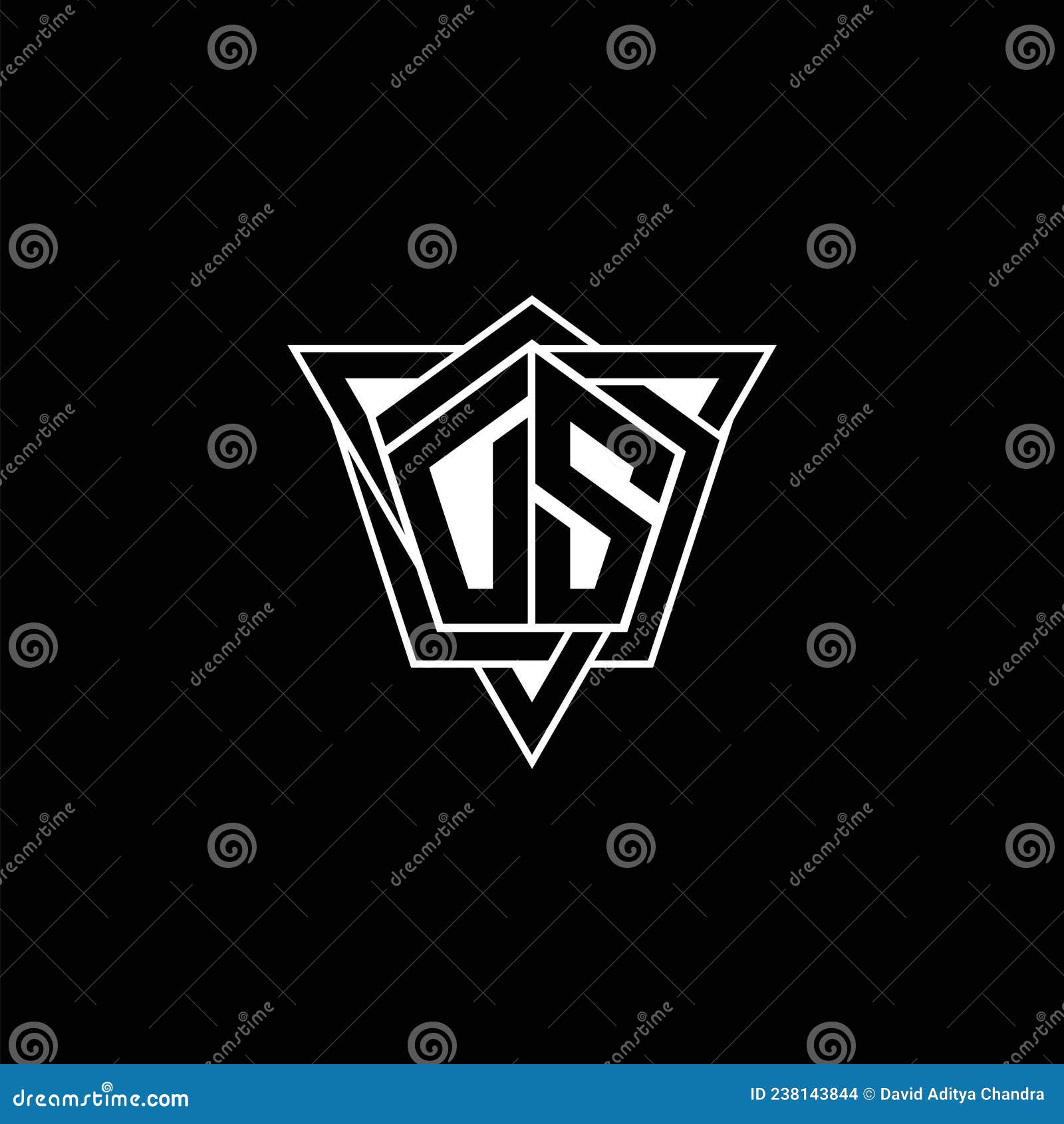 ds logo monogram geometric modern 