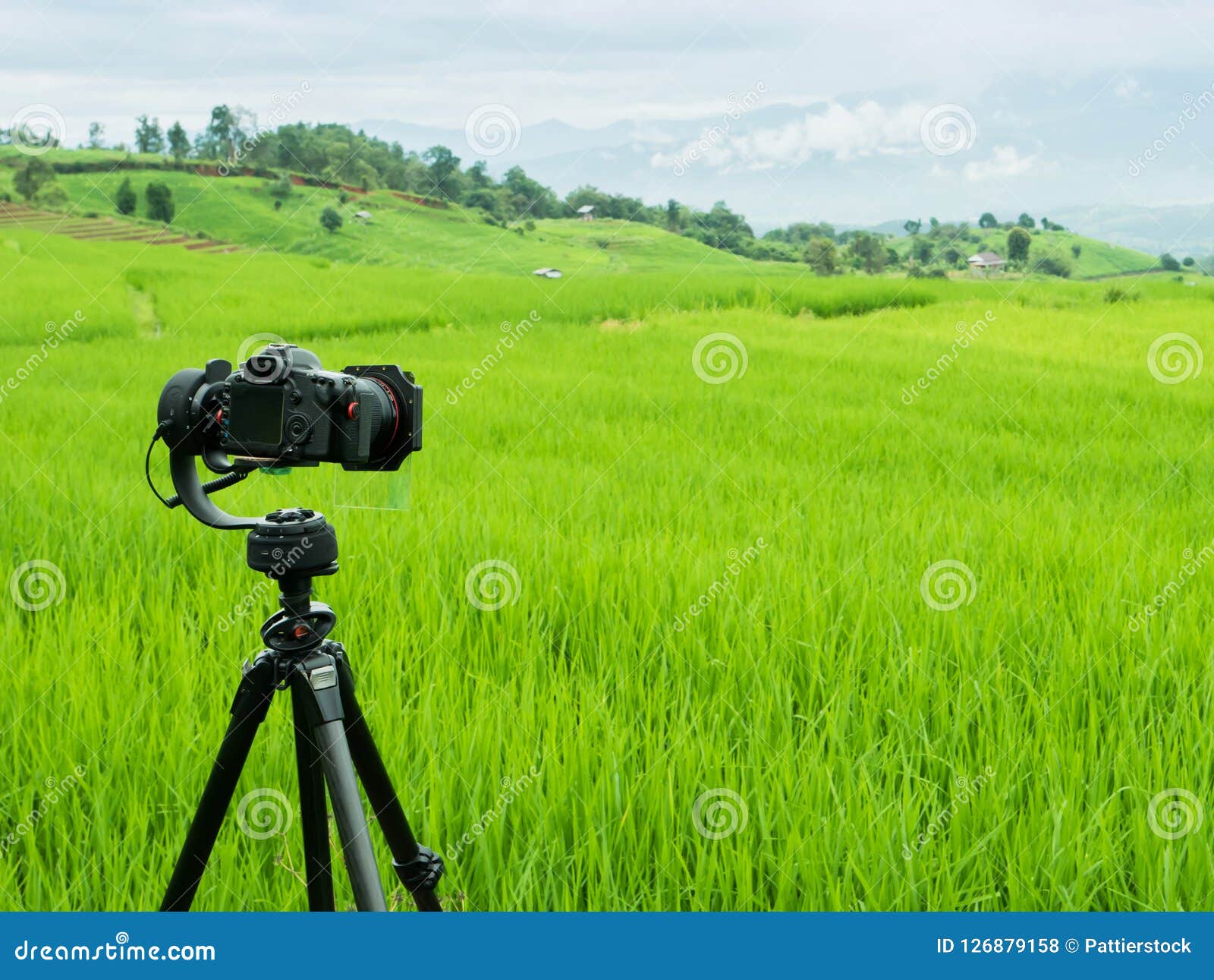 DSLR Camera on Bokeh Background Black DSLR Camera with Bokeh Lights Photo and Camera City Lights Bokeh Night Stock Image Image of greeting city 176338759