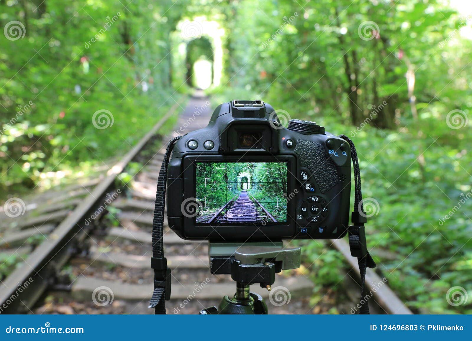 Abstrakt DSLR-kamera på järnväg i skog