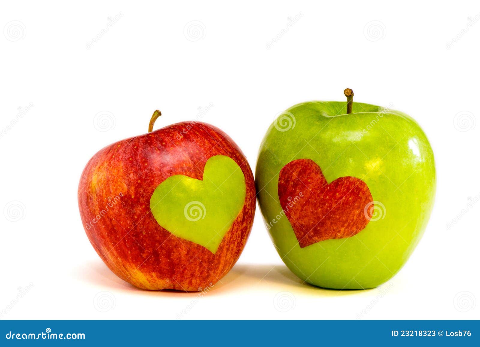 Duas maçãs dos amantes. Maçã vermelha com coração verde e maçã verde com coração vermelho