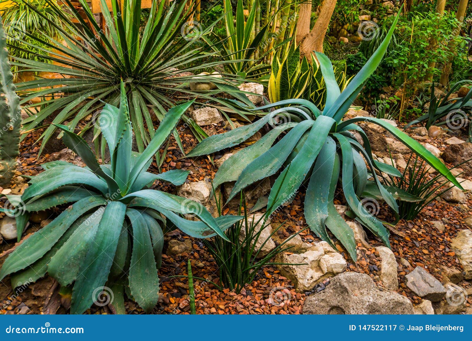 Catálogo AGAVE DECORAÇÕES