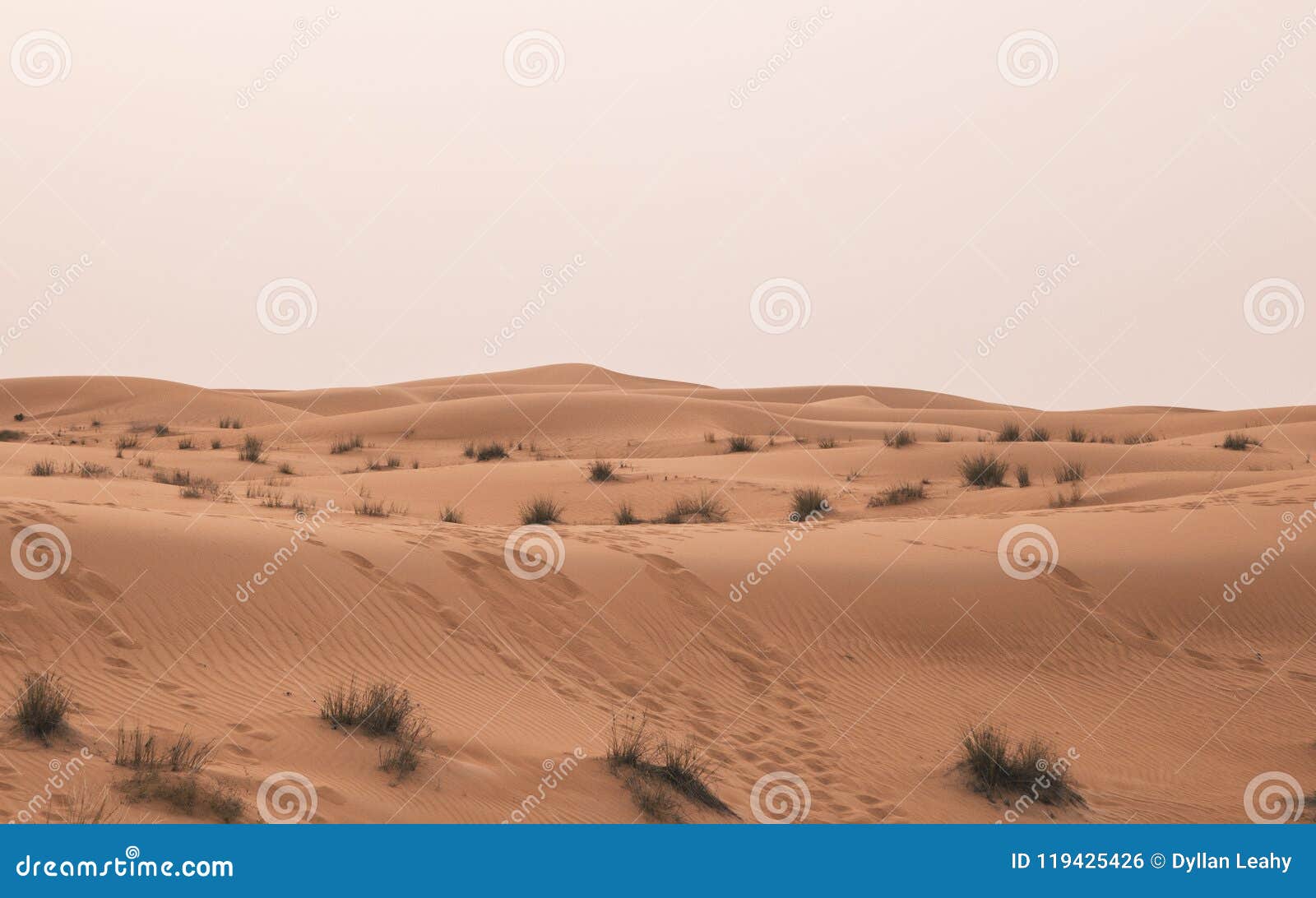 Dubai desert landscape stock photo. Image of wallpaper - 119425426 Dubai desert landscape stock photo. Image of wallpaper - 119425426