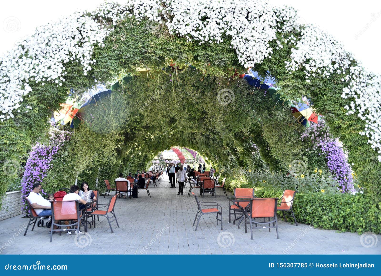 Dubai Miracle Garden At The Earth Day Editorial Image Image Of