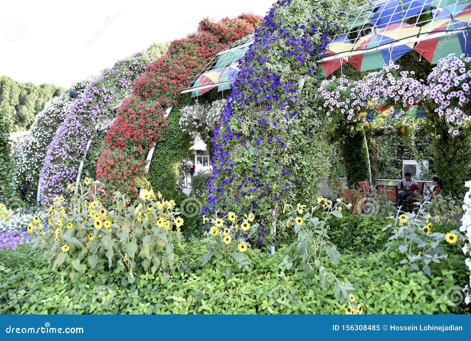 Dubai Miracle Garden At The Earth Day Editorial Image Image Of