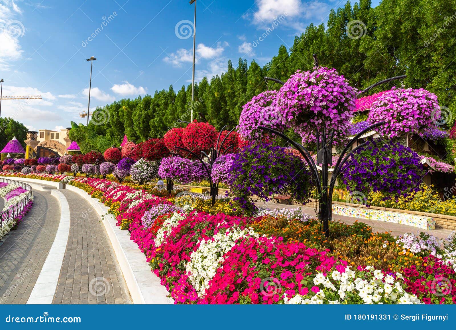 Dubai Miracle Garden Editorial Photo Image Of Garden 180191331
