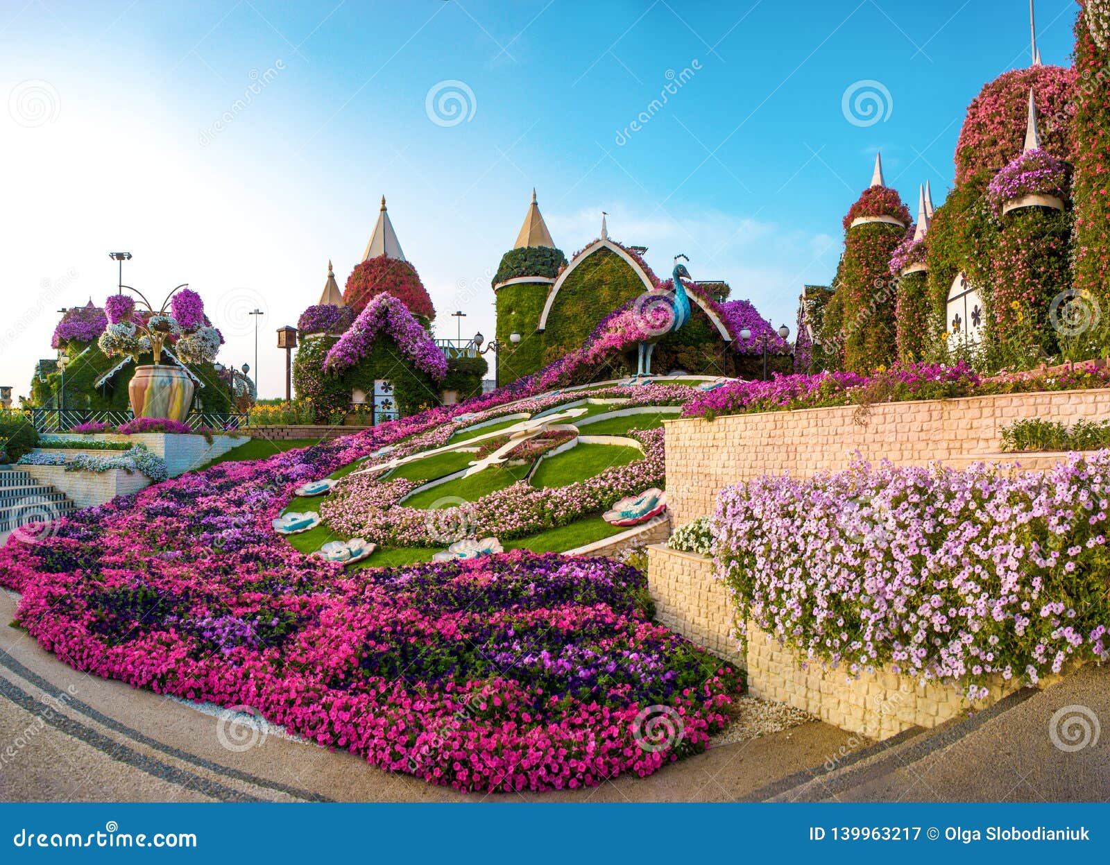 dubai, miracle garden - the village of flowers editorial photography