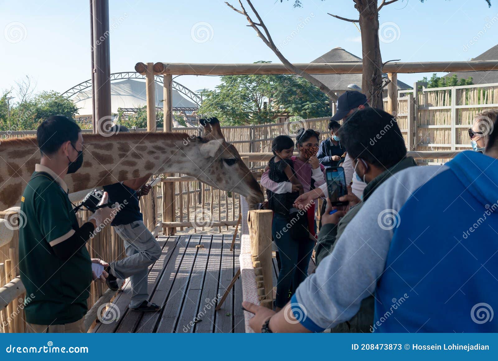 dubai safari park animal feeding