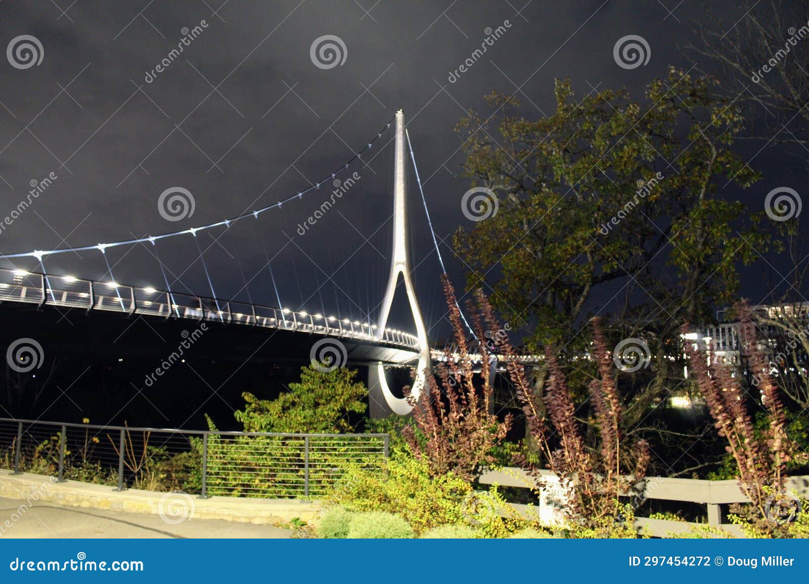 Dublin Link Bridge at Night Stock Photo Image of night, plants 297454272