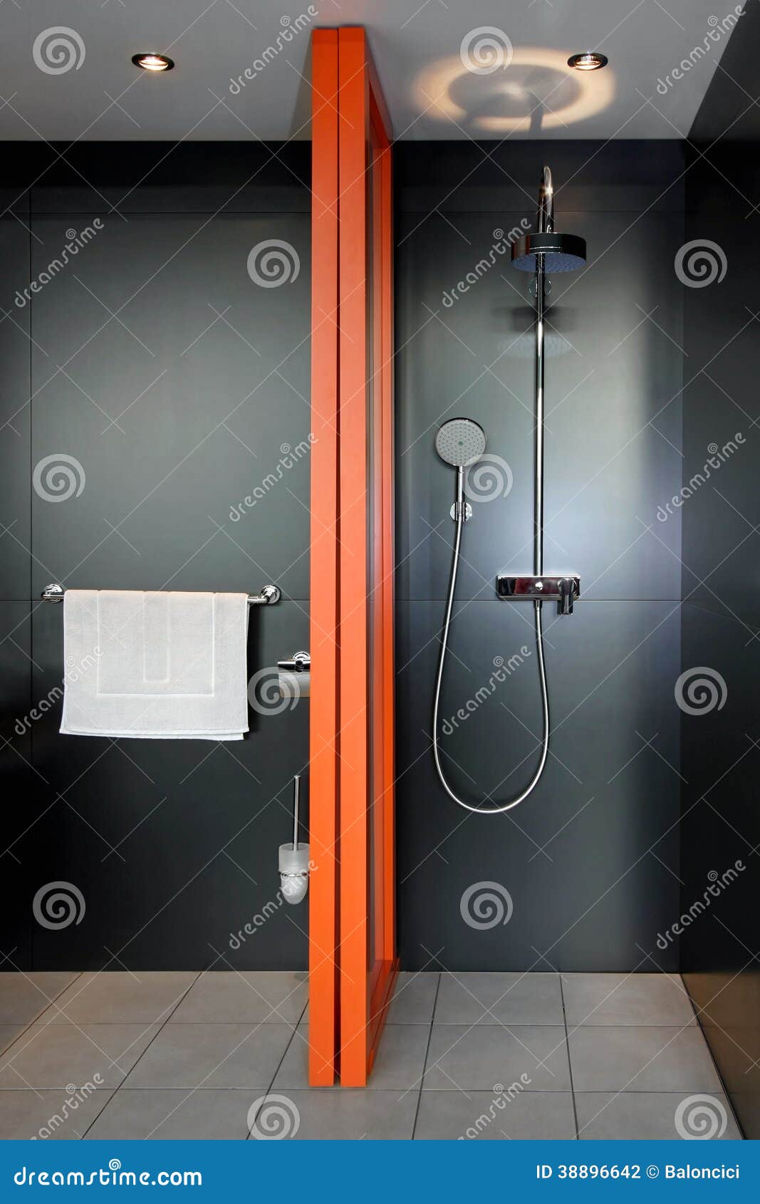 https://thumbs.dreamstime.com/z/ducha-negra-38896642.jpg