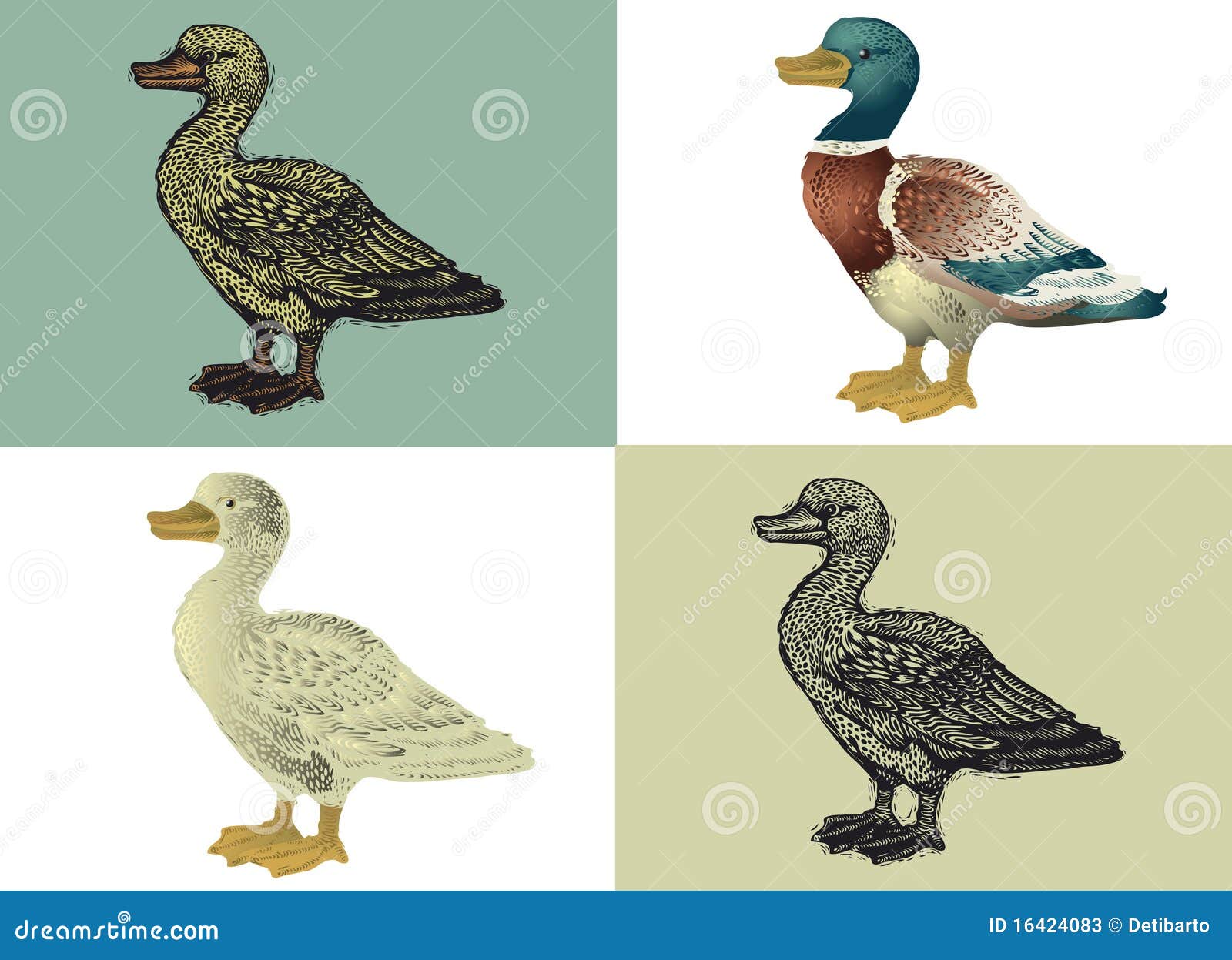 Duck Eating Stock Illustrations – 325 Duck Eating Stock Illustrations, Vectors & Clipart - Dreamstime Duck Eating Stock Illustrations – 325 Duck Eating Stock Illustrations, Vectors & Clipart - Dreamstime
