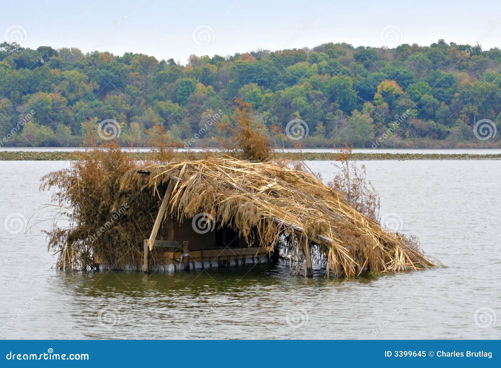 Duck Blind stock image. Image of clear, blind, duck ...