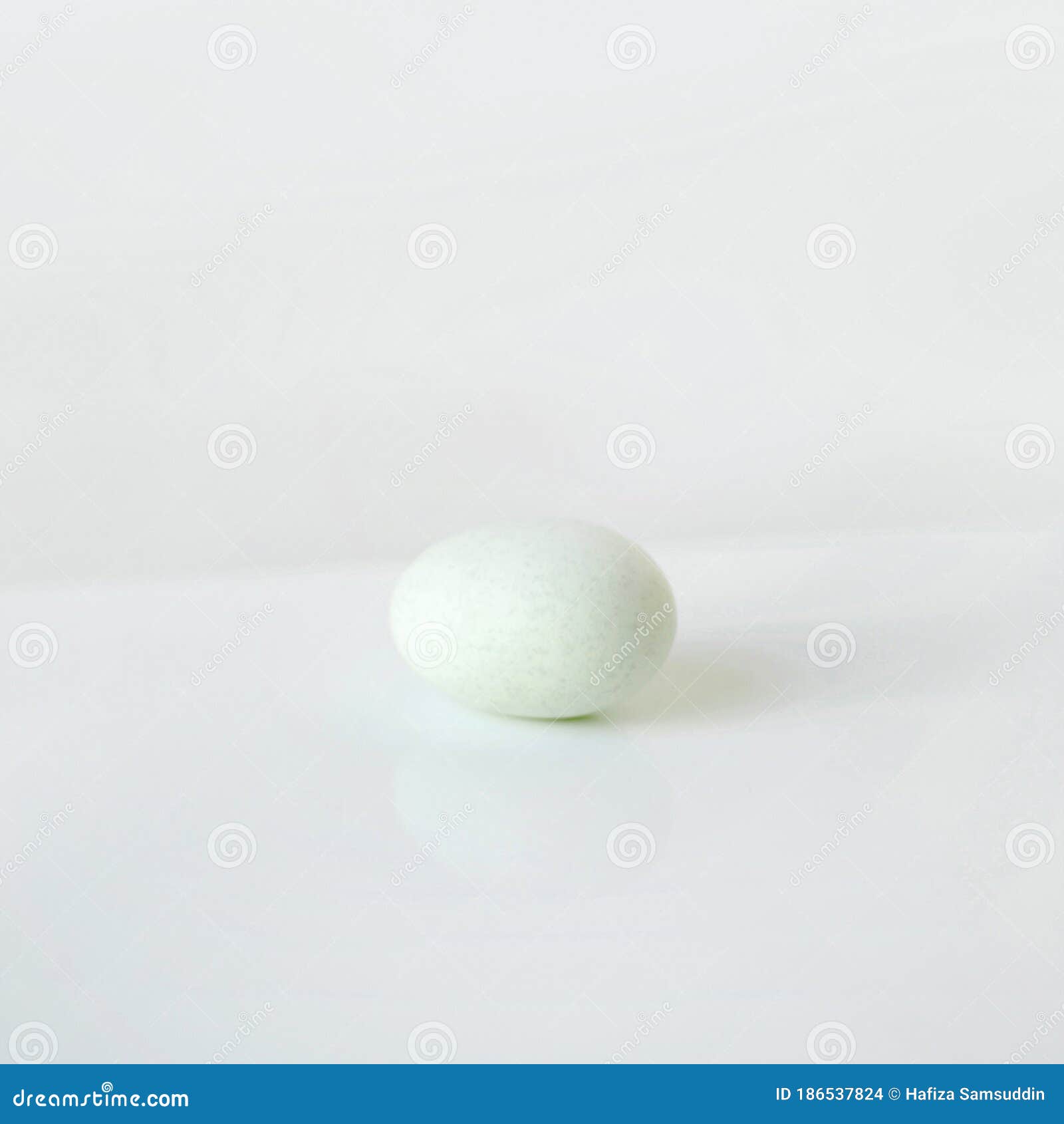 Duck egg. Conceptual image stock photo. Image of food 186537824
