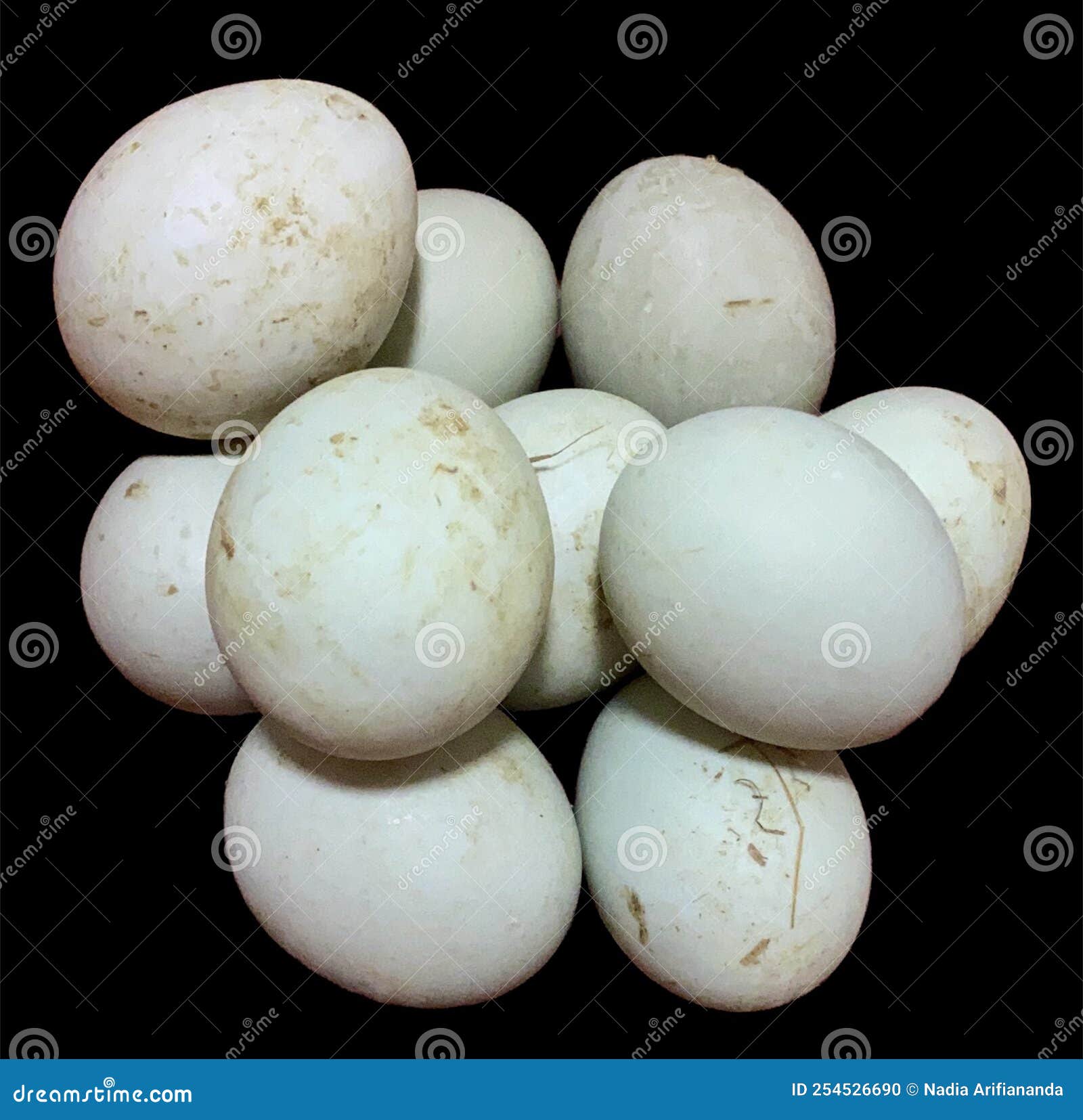 Duck Eggs Stock Photo Image Of Firstly Duck Bigger 254526690 duck-eggs-stock-photo-image-of-firstly-duck-bigger-254526690