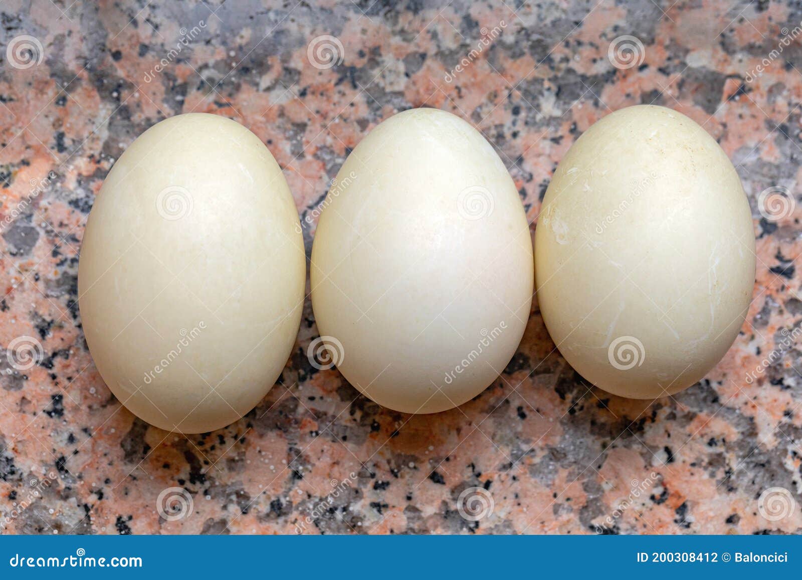 Duck Eggs Marble stock photo. Image of white, duck, eggs 200308412