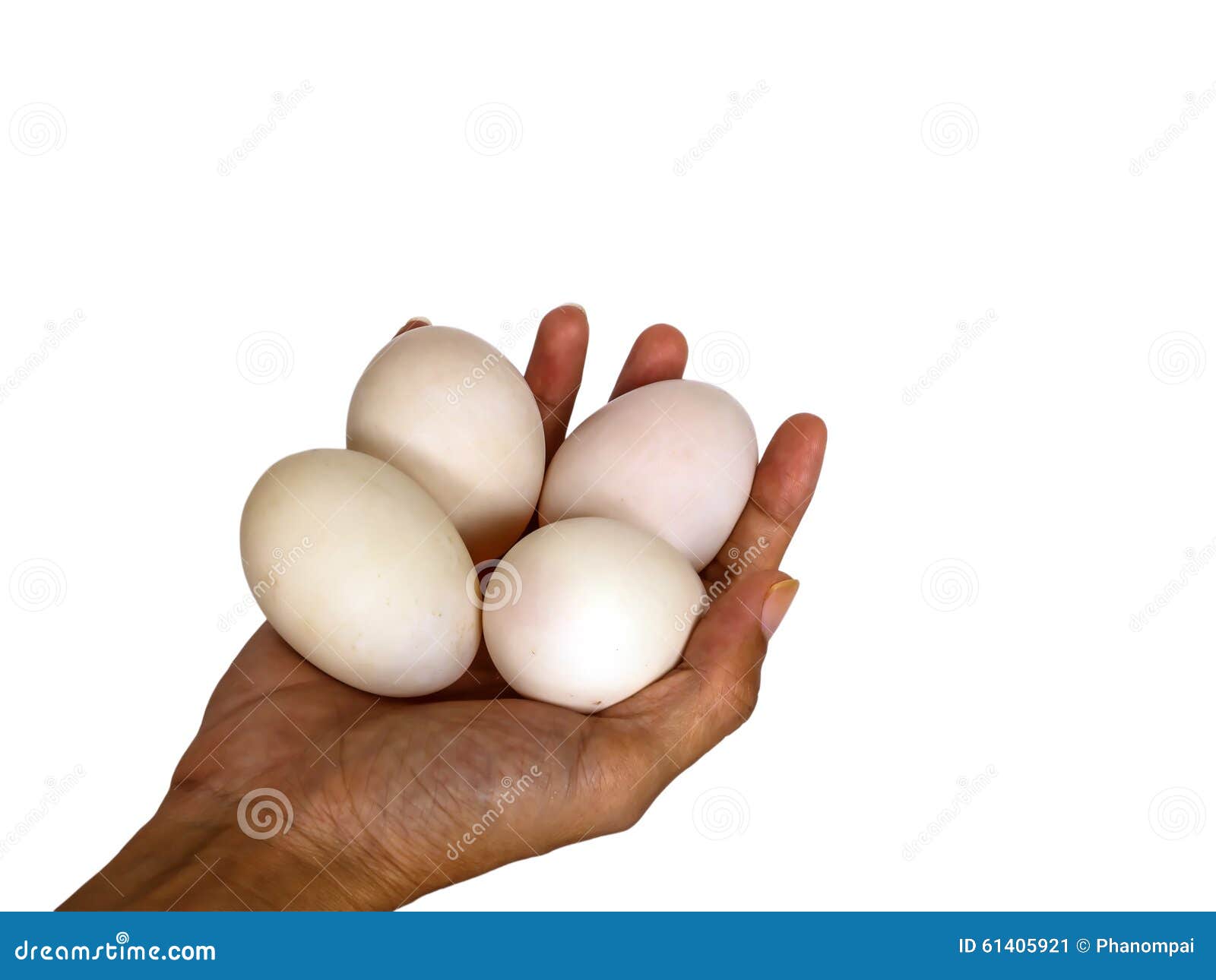 Duck Eggs on White Background Stock Image Image of brown, breakfast