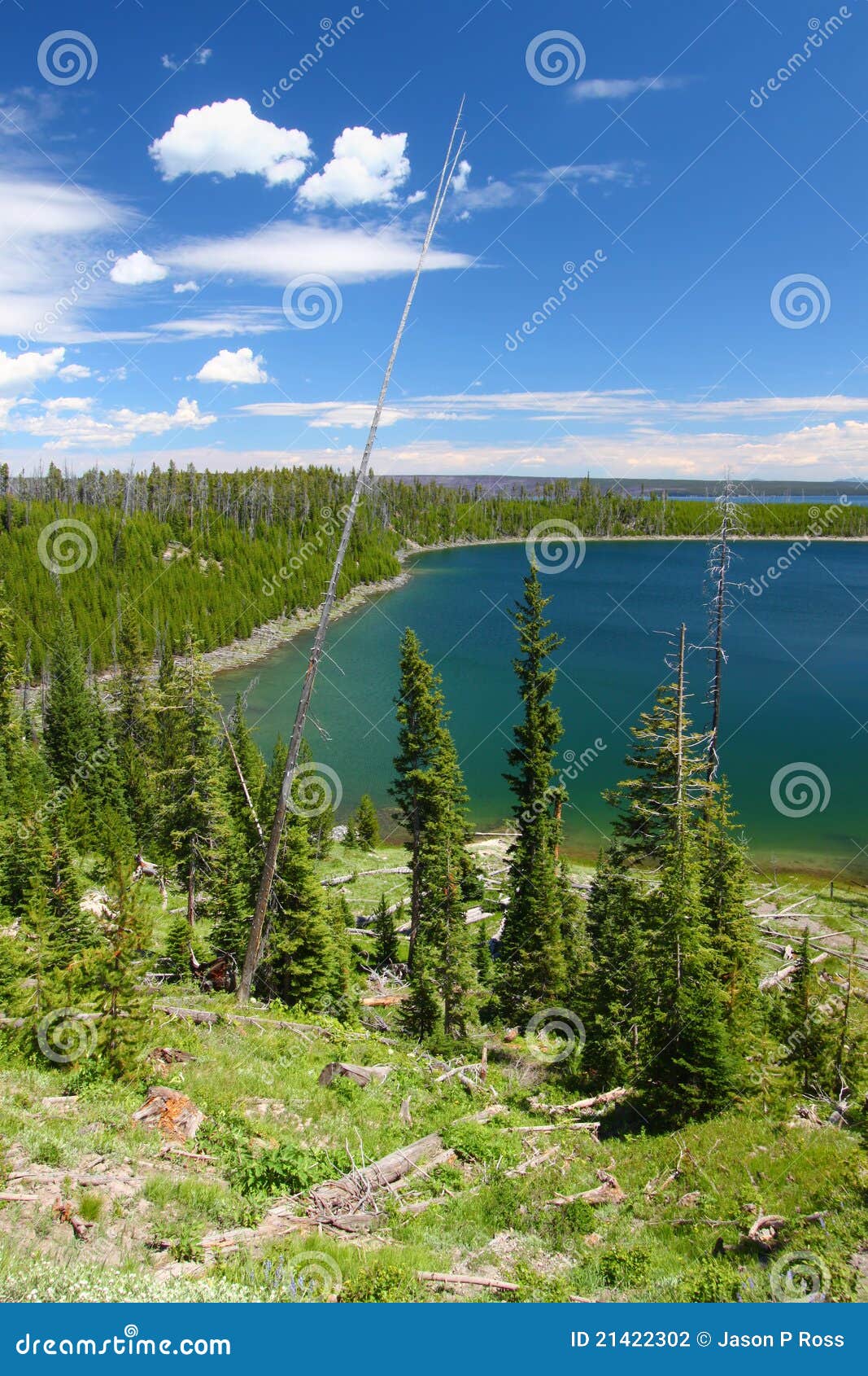 Duck Lake in Yellowstone stock photo. Image of scenery 21422302