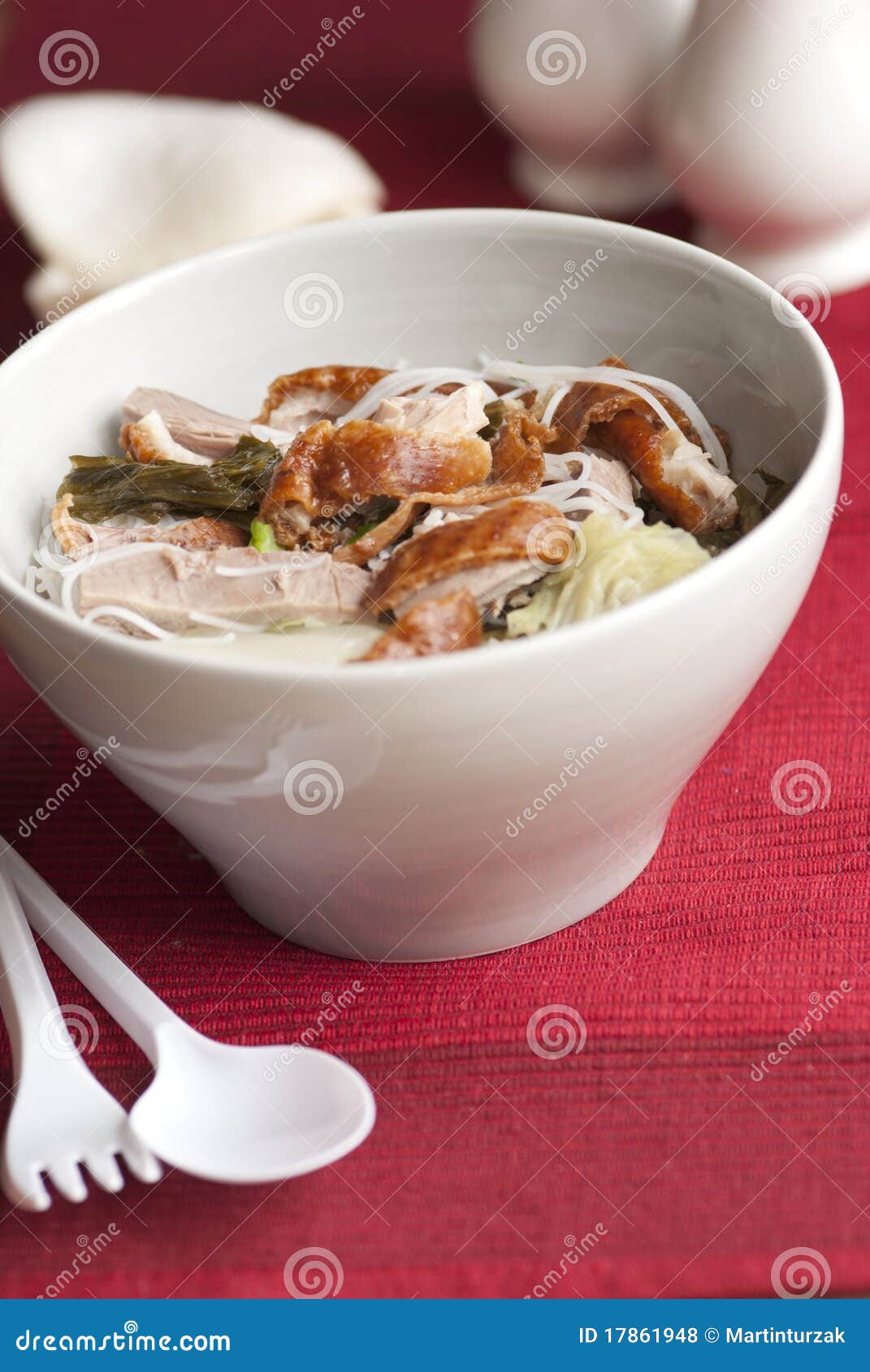 Duck with noodles stock photo. Image of rice, chinese - 17861948