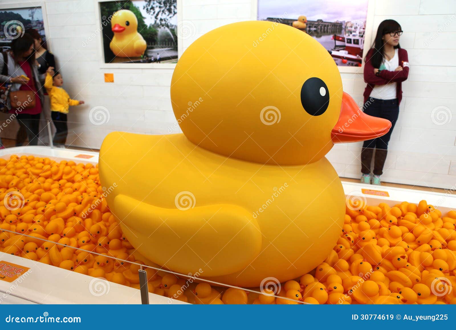Duck Project di gomma in Hong Kong. Duck Project di gomma di Florentijn Hofman in Hong Kong, il 2 maggio - 9 giugno nel 2013