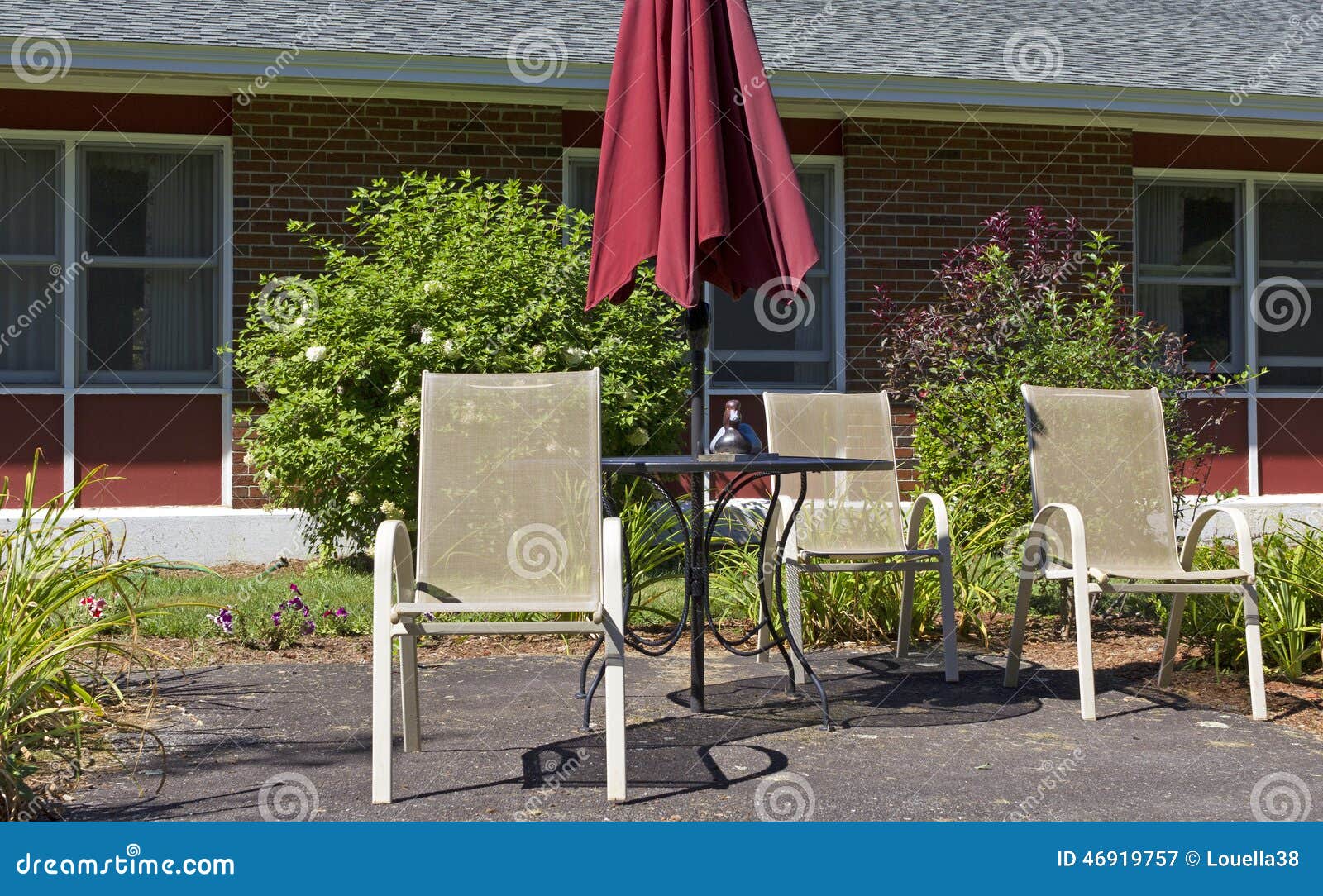 Duck On Table Stock Image Image Of Roof Wooden Asphalt 46919757