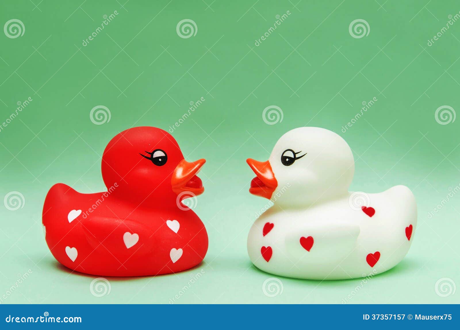 Ducks in Love stock image. Image of lovers, gift, hearts 37357157