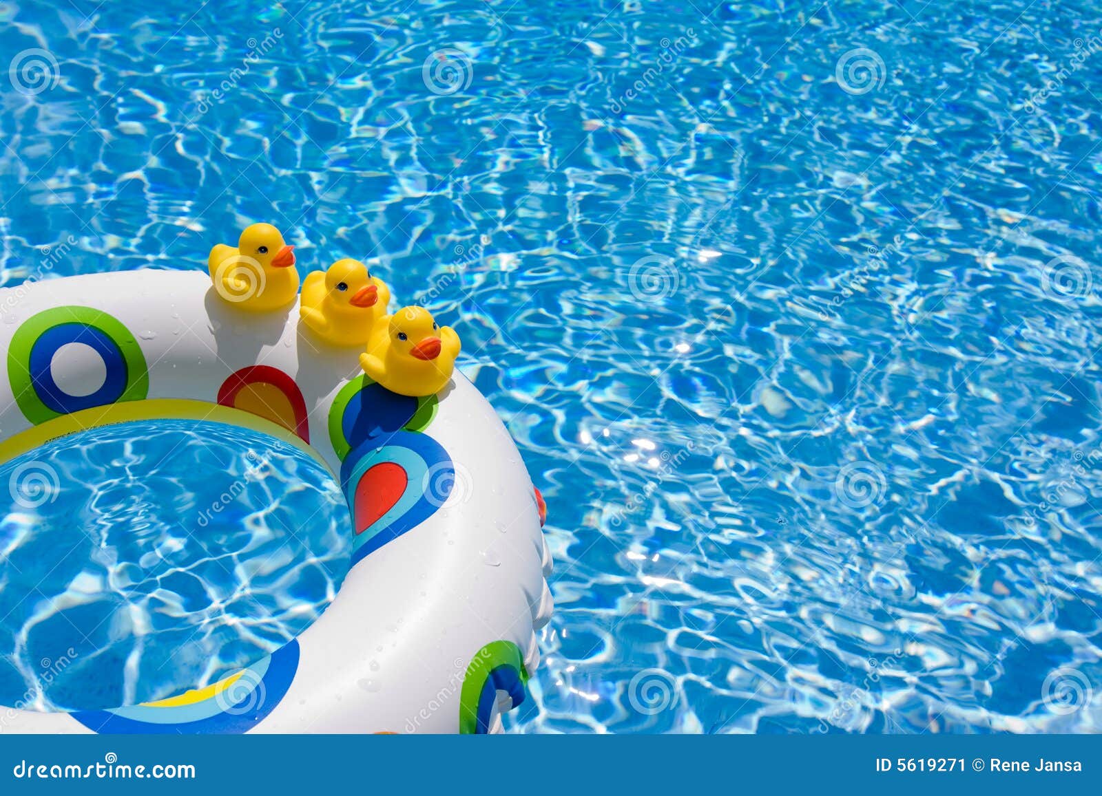 Ducks in Summer stock image. Image of ducks, group, life - 5619271