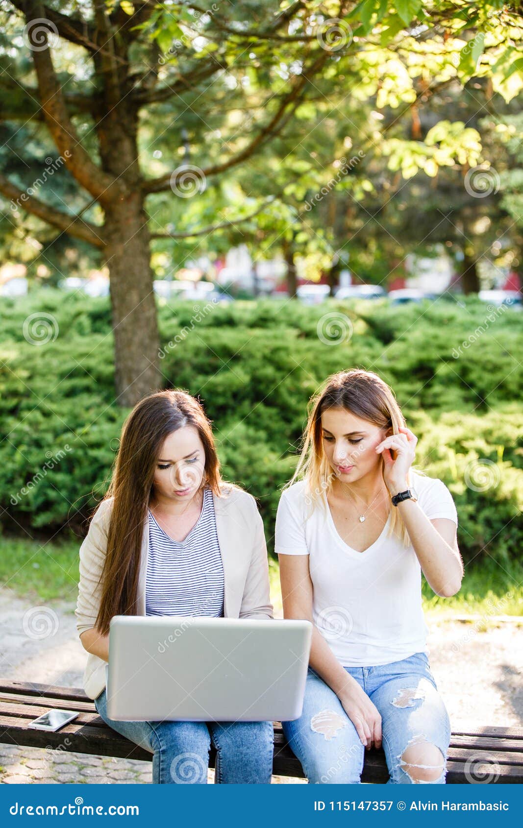 Due amici femminili in parco che lavora qualcosa sul loro computer portatile