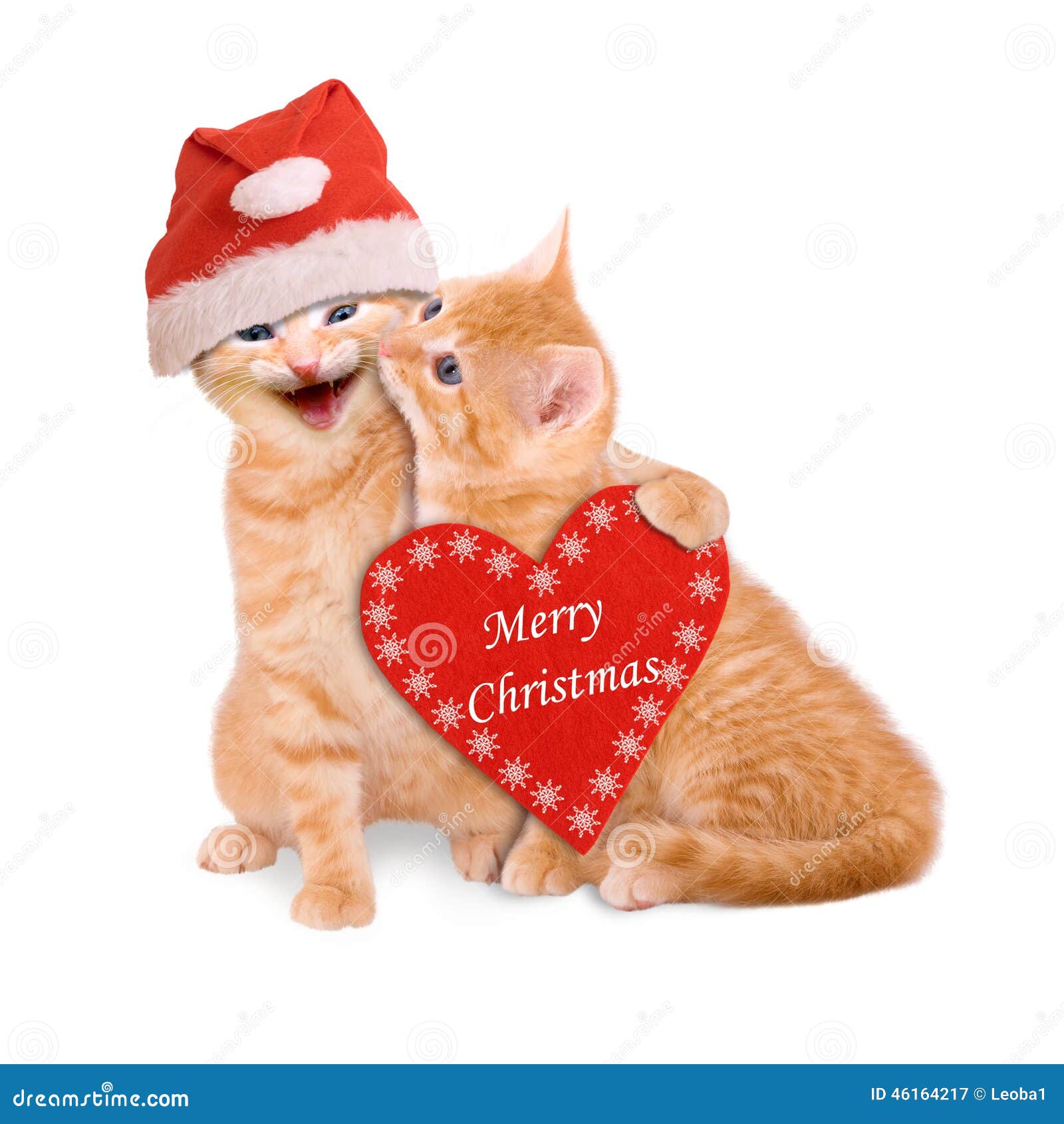 Buon Natale Gatti.Due Gatti Con Il Cappello Di Santa Desiderante Il Buon Natale Isolato Immagine Stock Immagine Di Rosso Background 46164217