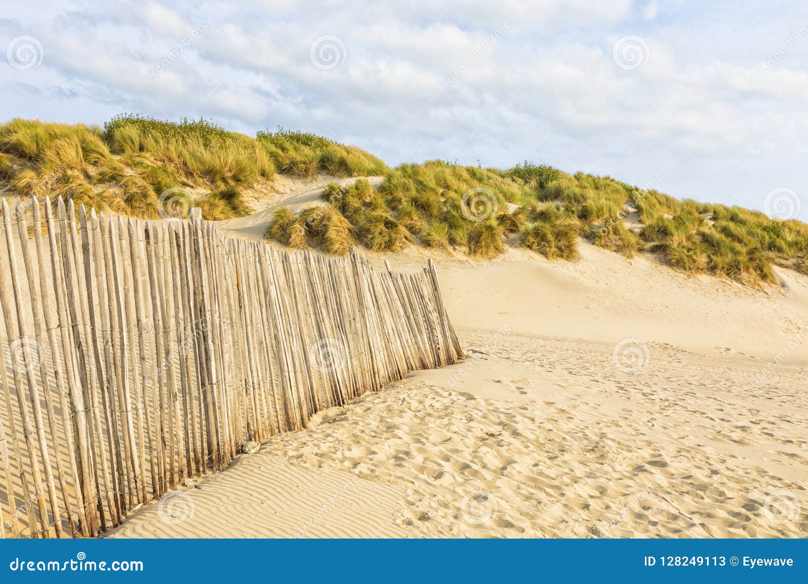 Dune Fence at Normandy Beach Stock Image Image of europe, travel