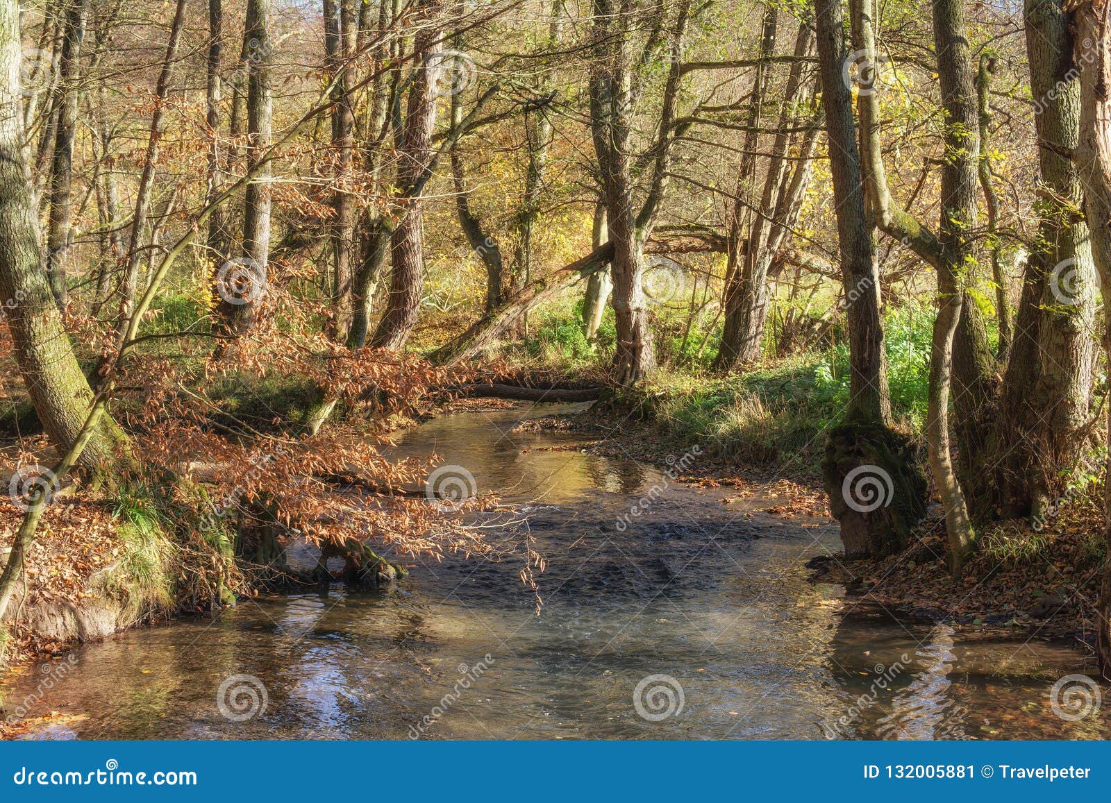 duessel river,neandertal,germany