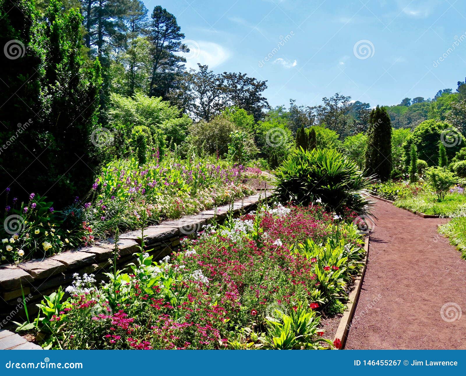 Sarah P Duke Gardens Stock Image Image Of University 146455267