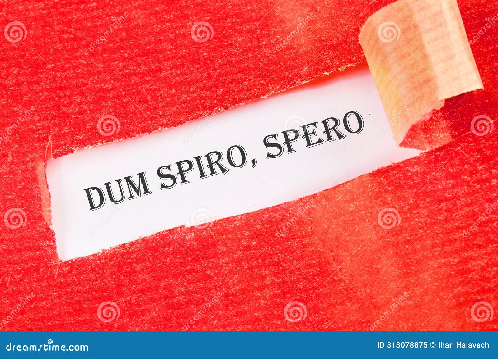 dum spiro spero - latin phrase means while i breath, i hope. on a white background under torn paper