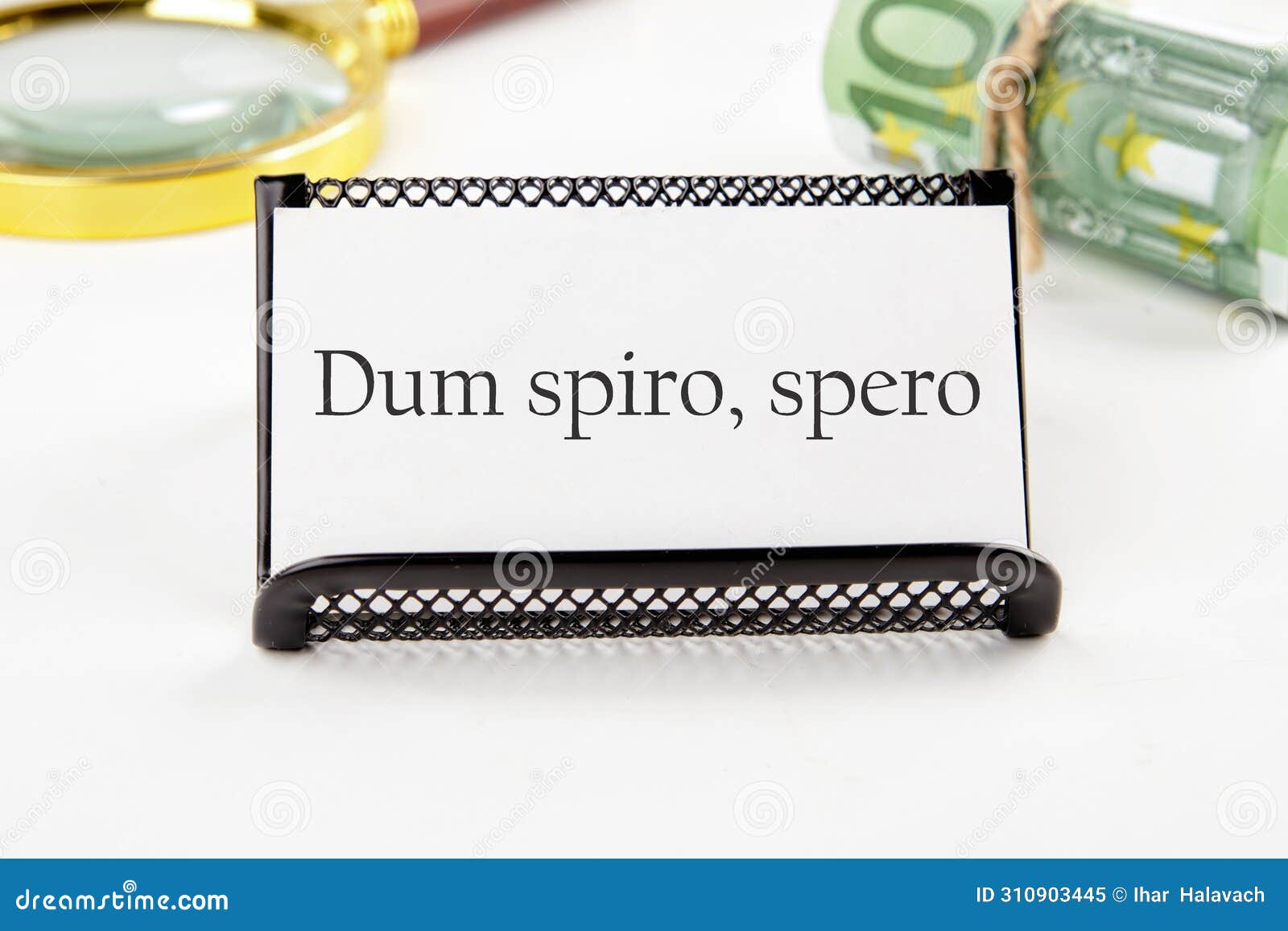 dum spiro spero - latin phrase means while i breath,