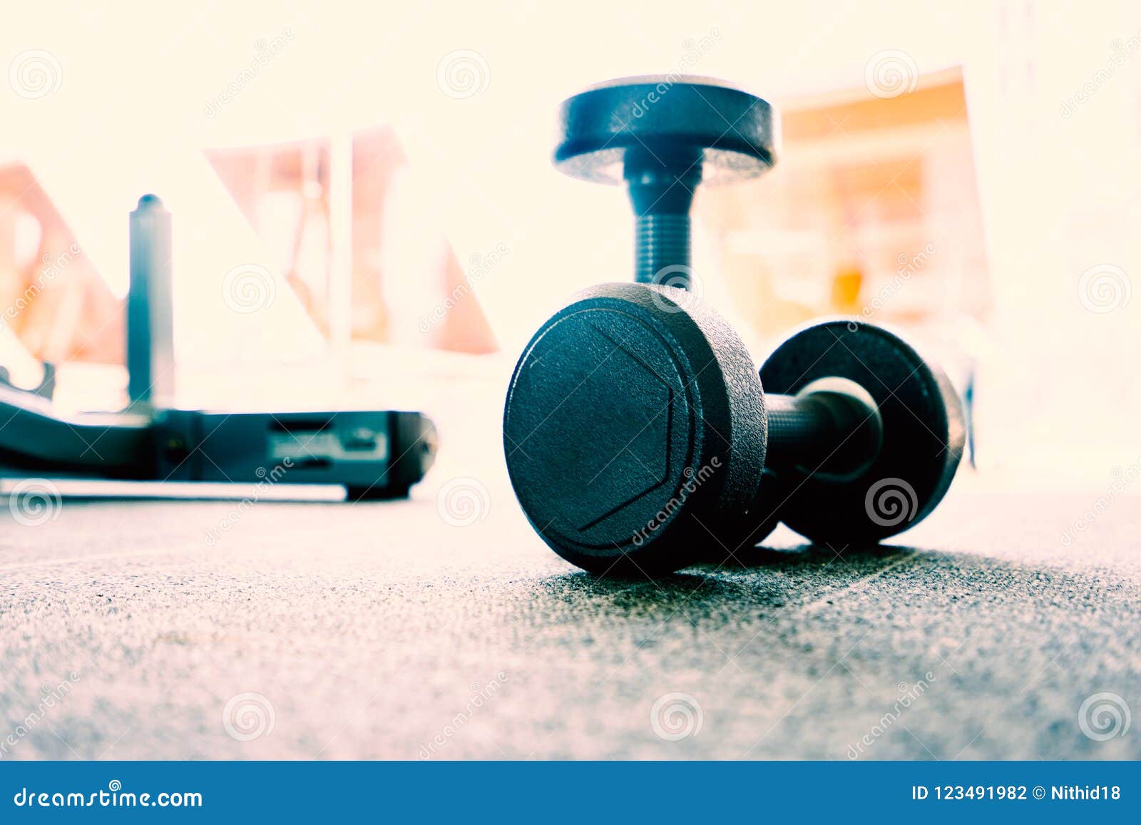Dumbbell on the Floor in Fitness Room Stock Photo - Image of exercise ...
