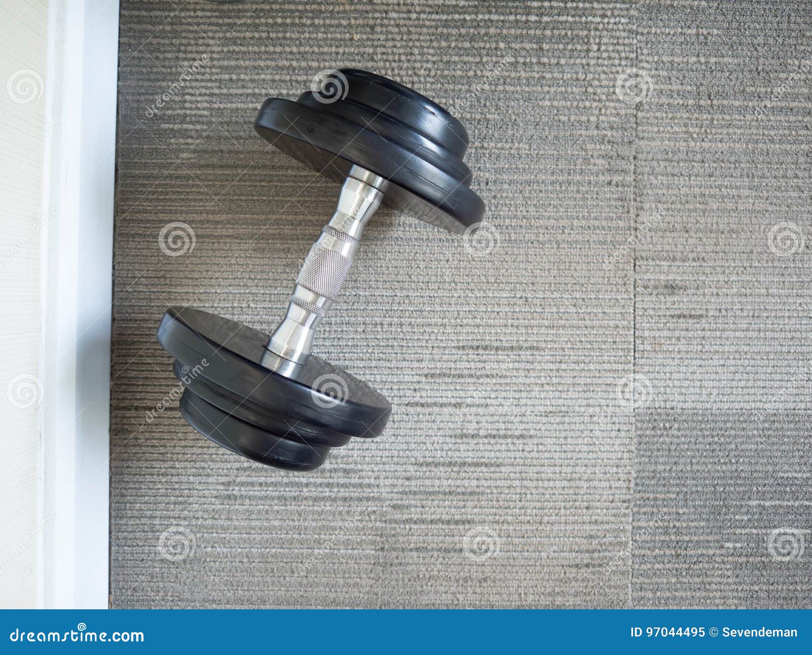 Dumbbell on the gym floor. stock image. Image of exercise - 97044495