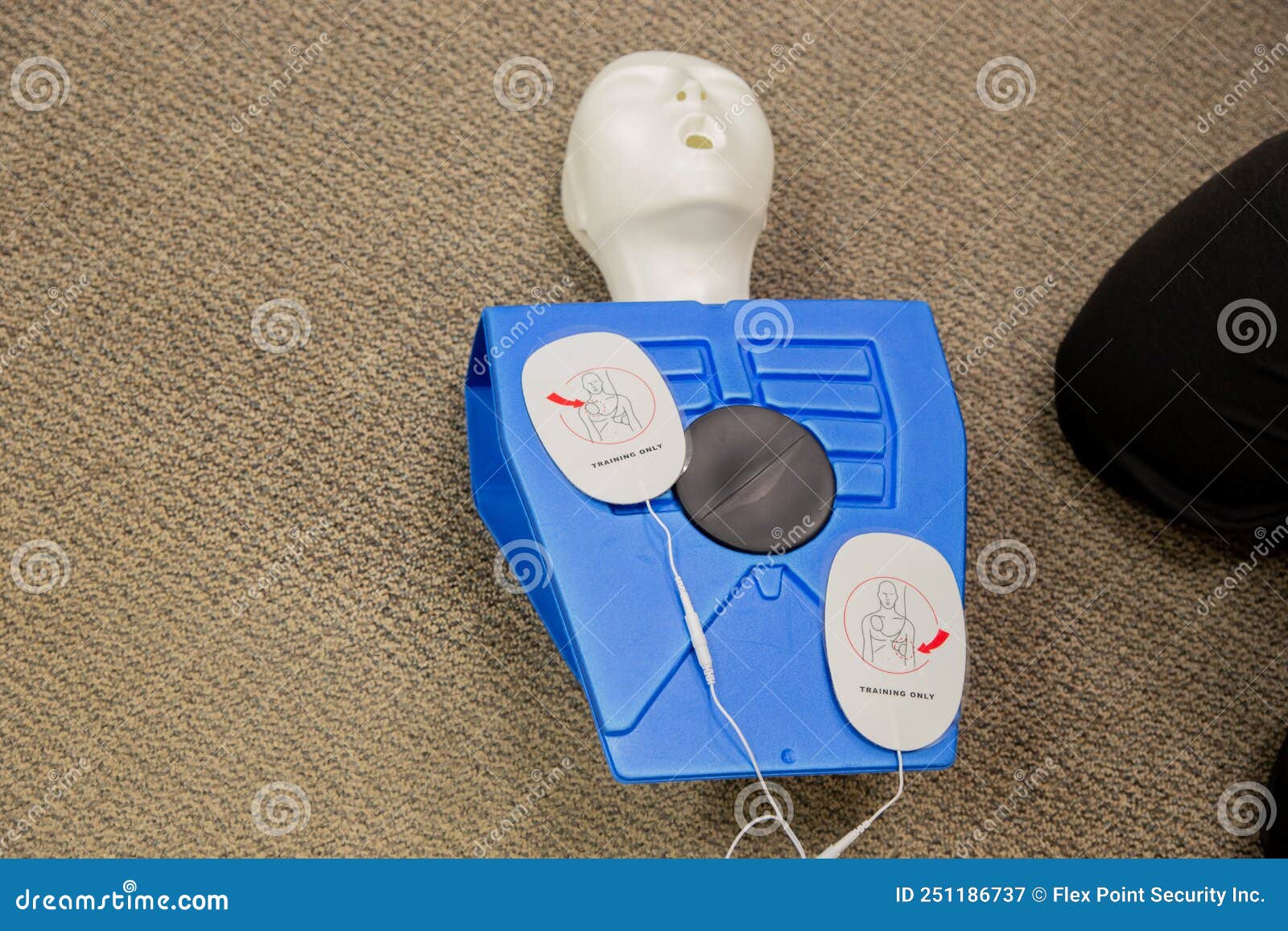 Dummy Doll with AEC Pats on the Chest for CPR Training. Stock Image