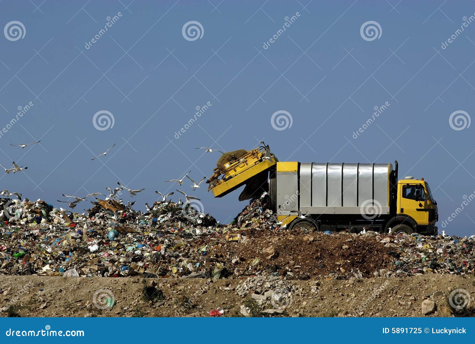 dumping trash