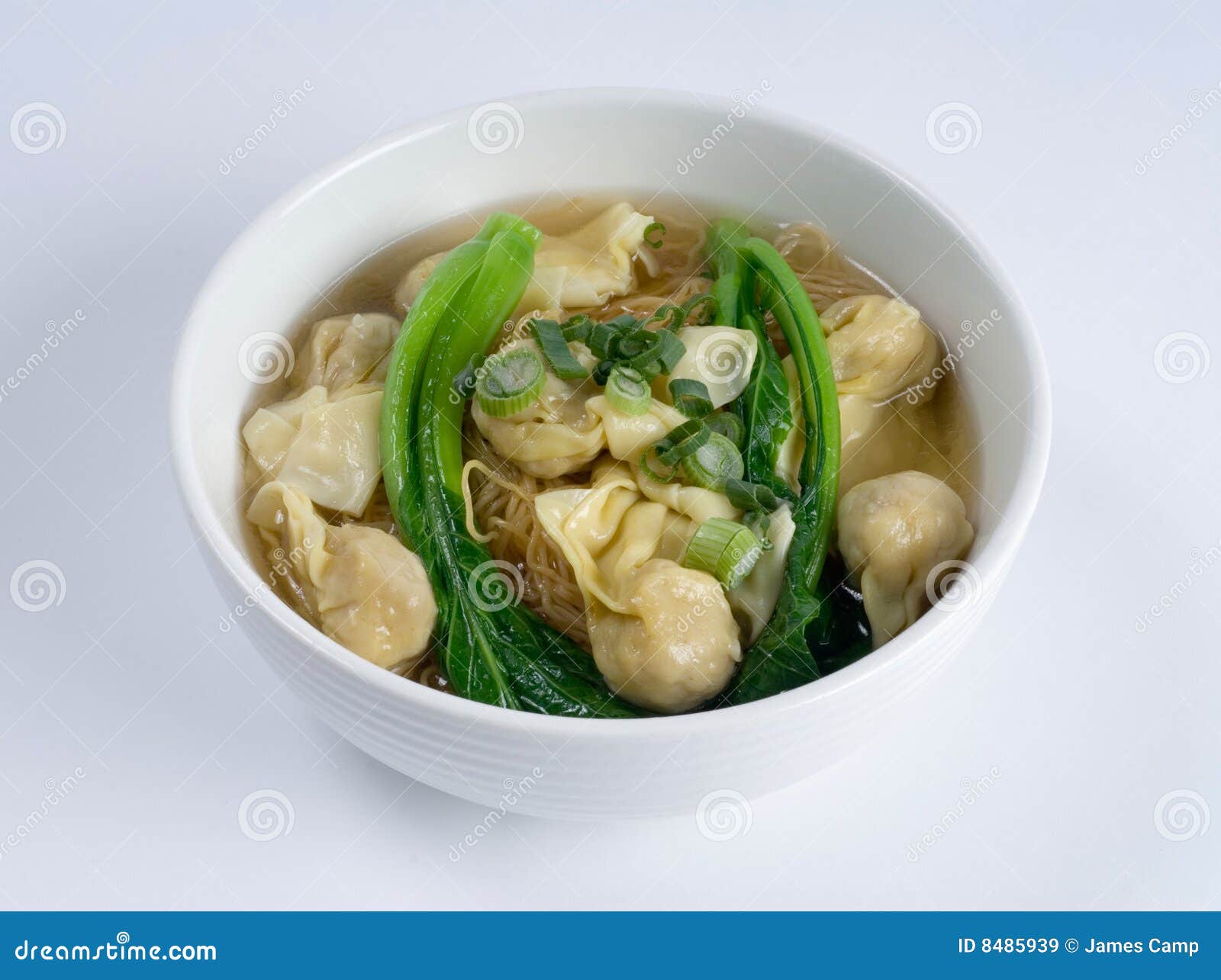 Dumpling noodle soup stock image. Image of leek, meat 8485939