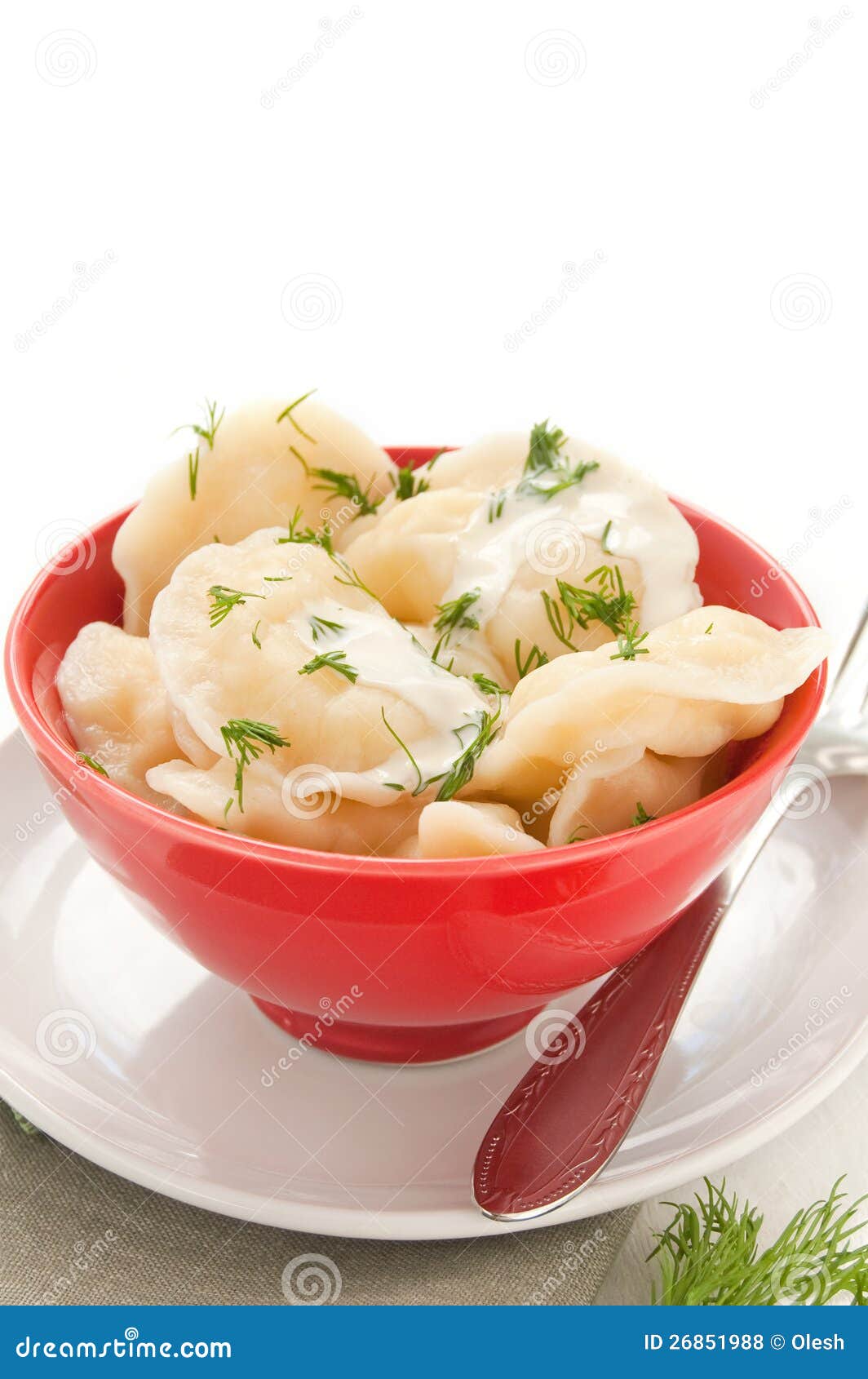 Dumplings with fennel stock photo. Image of plate, sour 26851988