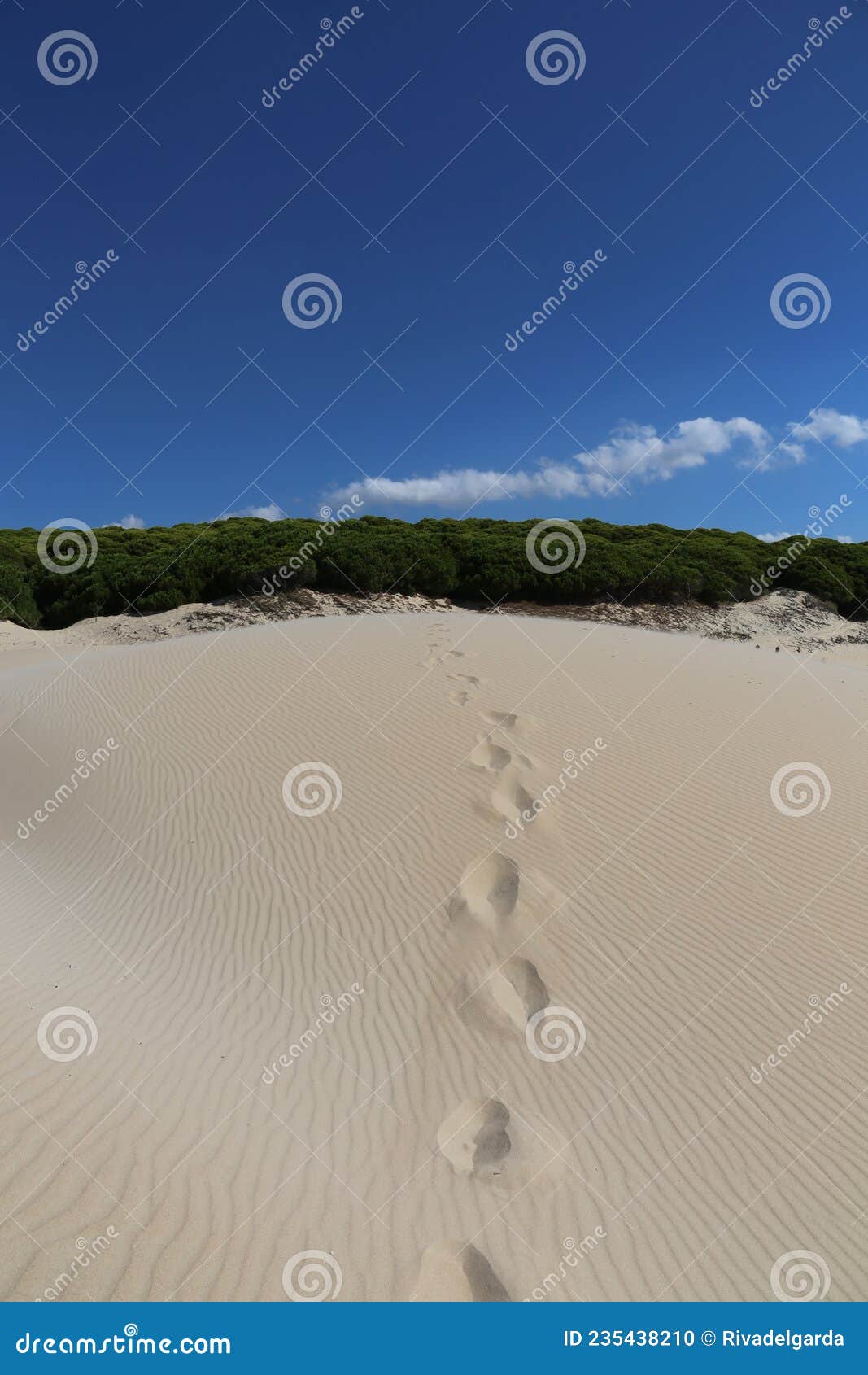the duna de bolonia, costa de la luz