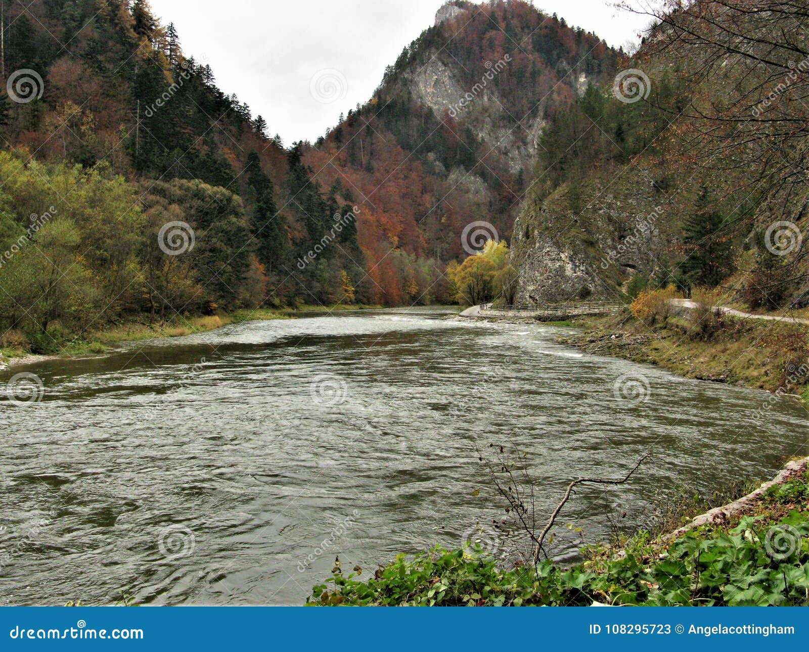 dunajec river and gorge between poland and slovakia in autumn