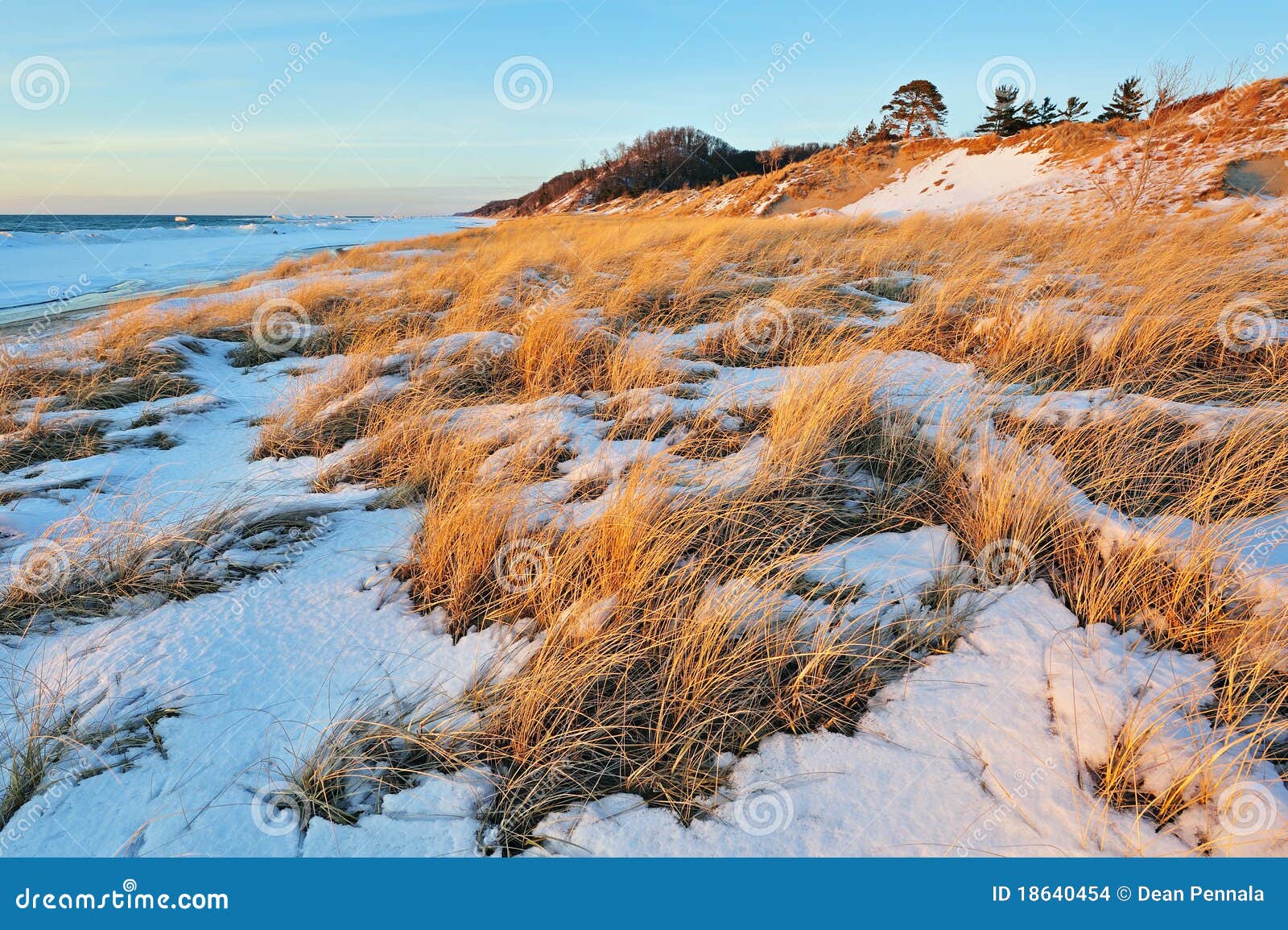 Dunas De Saugatuck, Lago Michigan Foto de archivo - Imagen de dorado,  invierno: 18640454, image size:1600x1155