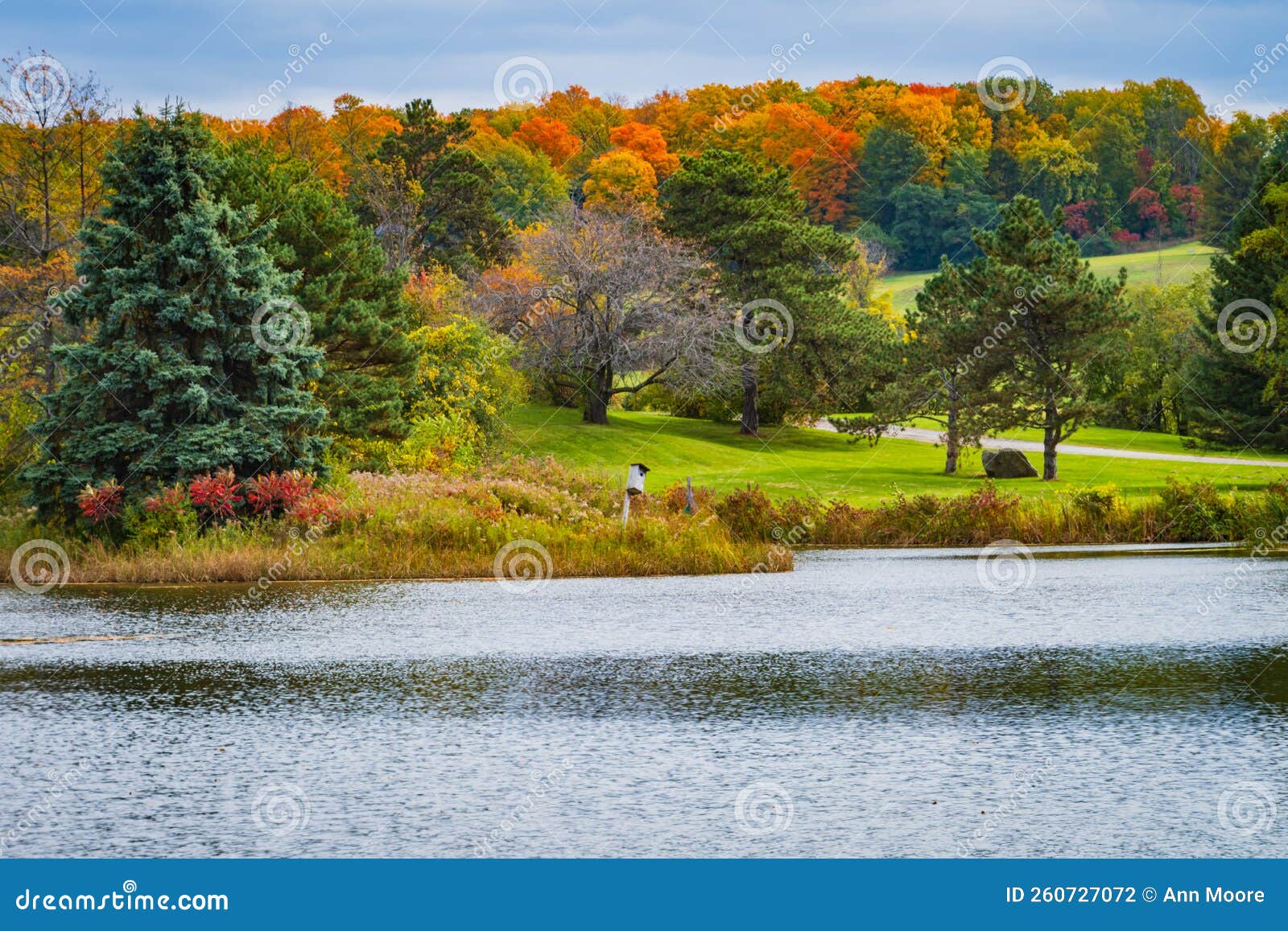 pond on farm in autumn
