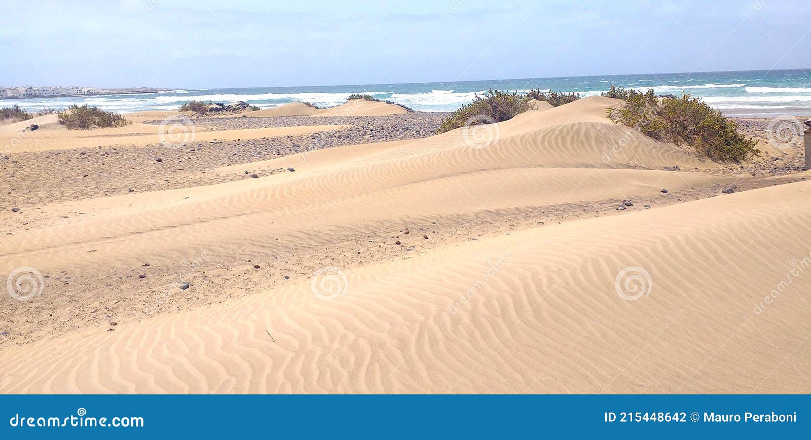 dune di sabbia desertica in spiaggia