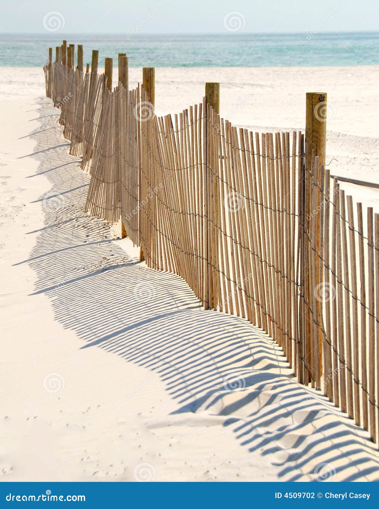 dune fence on beach