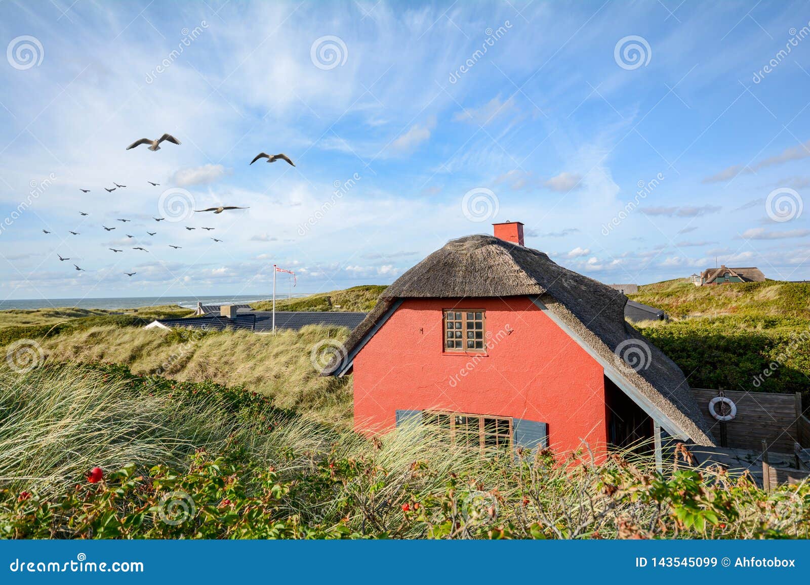 dune landscape at the north sea, jutland denmark scandinavia