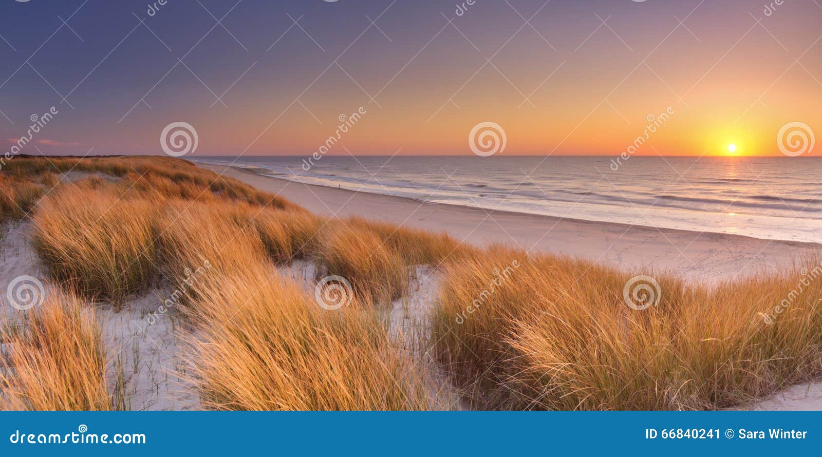 dunes and beach at sunset on texel island, the netherlands