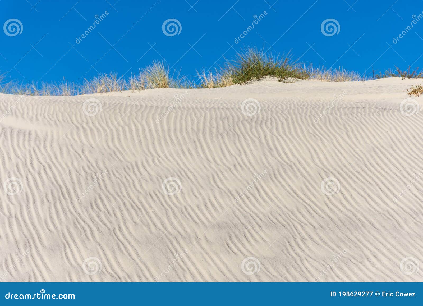 the dunes of biscarrosse, france